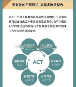 ACT疗法实录与访谈（创始人亲授）