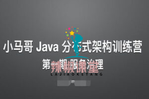 小马哥 Java 分布式架构训练营 – 第一期 服务治理