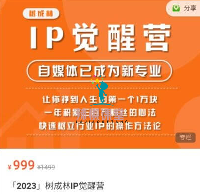 「2023」树成林IP觉醒营价值999元