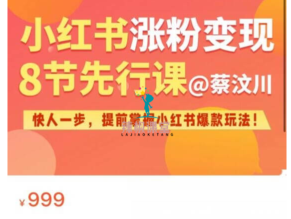 蔡汶川：接单号方向·小红书の微操实践课价值999元