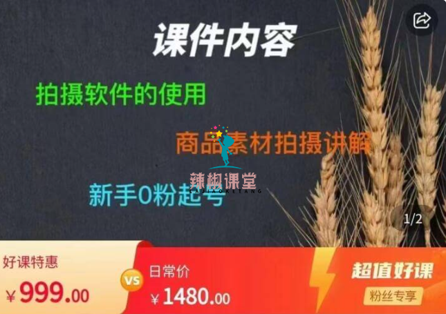 零食短视频素材拍摄教学价值999元