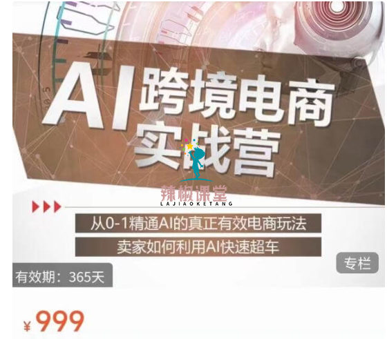 白龙老师·AI跨境电商实战营价值999元