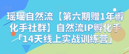 瑶瑶自然流【第六期赠1年孵化手社群】自然流IP孵化手-14天线上实战训练营