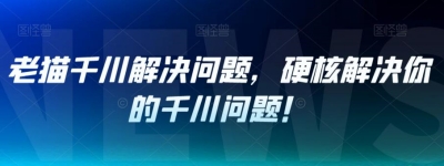 老猫千川解决问题-硬核解决你的千川问题