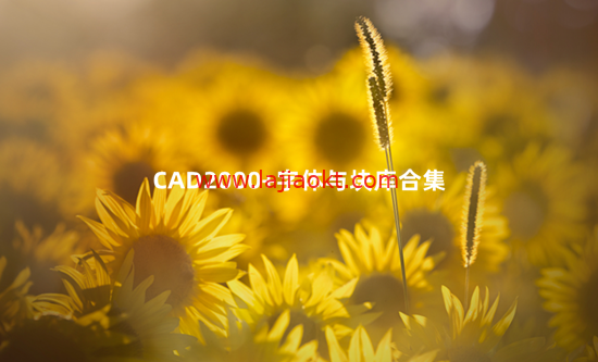 CAD2000+字体与块库合集 百度云盘