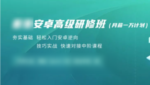 看雪安卓高级研修班（月薪一万计划）价值1999元