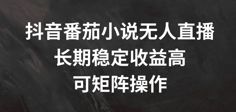 抖音番茄小说无人直播，长期稳定收益高，可矩阵操作【项目拆解】