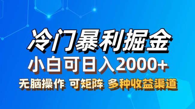 冷门蓝海项目，天涯神贴暴力掘金，小白可轻松上手【项目拆解】