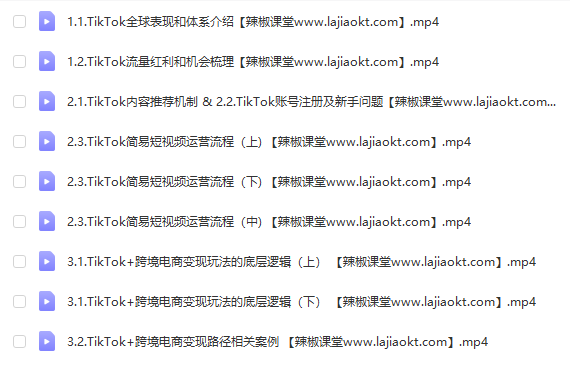 TikTok底层逻辑及短视频运营方法系列课，运营体系，底层逻辑，认知升级