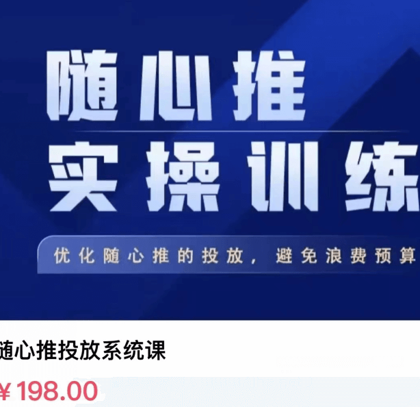 飞哥随心推投放系统课价值198元