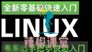 韦东山《嵌入式Linux应用开发完全手册》配套视频教程（42集）