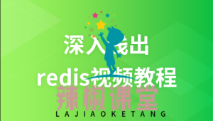 麦子学院 – 深入浅出redis