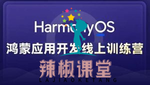 黑马博学谷 Harmony NEXT（星河版）鸿蒙应用开发训练营2期