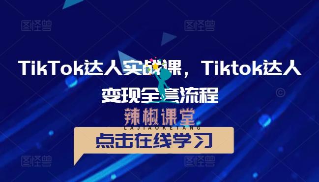 TikTok达人实战课，Tiktok达人变现全套流程